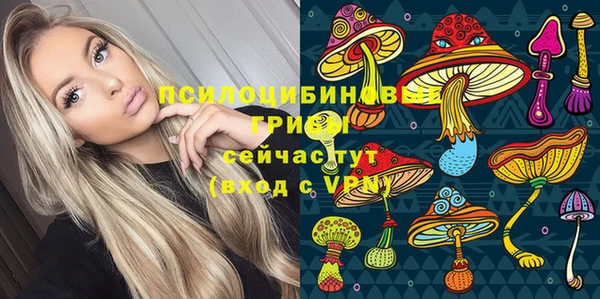 круглые Алексин