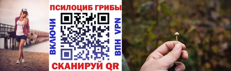 наркотики  Муром  Псилоцибиновые грибы мухоморы 
